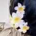 Fovolat Flower Shape Claw Clip | Girls Cute Hair Claw Clips Flower Shape - Thin Thick Curly Hair Clips Beach Hair Accessories Strong Hold for Dating Traveling - Buy Online on GoSupps.com