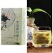 Scented Tea Bags Flavorful and Refreshing Herbal Tea for Summer Individually Packaged and Easy To Brew Repeatable Brew Herbal Tea for Fourth Quarter Office Home Travel - Buy Online on GoSupps.com
