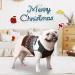 Cozy Christmas Dog Sweater | Warm Winter Knitted Pet Sweater | Reindeer Design for XS Dogs | Perfect Holiday Gift - Buy Online on GoSupps.com