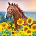 DIY 5D Full Drill Rhinestone Animal Diamond Painting Kits for Kids & Adults  Crystal Rhinestone Embroidery Diamond Painting by Number Kits Art Craft Home Wall Decor (horse sunflower  15.7'' x 15.7'')