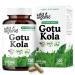 Wild & Organic Gotu Kola Capsules 600 mg - Brain & Focus Support - Gotu Kola Supplement - Centella Asiatica Powder - 120 Days of Supply - Vegan No Fillers Non-GMO - 120 Count 120 Count (Pack of 1)