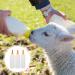 Lamb Feeding Bottle Set - Livestock Drink Jug for Baby Goat, Calf - Pet Nursing Bottles for Farm Animals - Buy Online on GoSupps.com