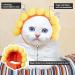 Weewooday 5 Pieces Cat Hat Cat Costume Bunny Hat with Ears Funny Banana Pineapple Cat Hat for Cats and Small Dogs Kitten Puppy Party Costume Accessory Headwear(Cute Style) - Buy Online on GoSupps.com