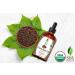 SVA Organics Clove Bud Essential Oil 4 Oz - USDA Organic 100% Pure Natural - Premium Therapeutic Grade Oil for Skin, Teeth, Diffuser - Aromatherapy Clove Oil 4 Fl Oz - Buy Online on GoSupps.com