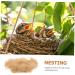 Yardwe BAST-Grasseide Gift Box for Wild Birds | Nesting Materials & Accessories | 22x12x4 cm - Buy Online on GoSupps.com