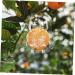 ORFOFE 2pcs Shaped Growth Fruit Buddha Baby Shaper Small Watermelon Accessories - Buy Online on GoSupps.com