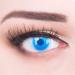 Buy Demon Nezuo Blue Colored Contact Lenses | Highly Opaque Anime & Manga Style | Perfect for Cosplay Halloween & Carnival | Free Lens Case Included - Buy Online on GoSupps.com