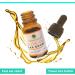 Filtered Olive Oil Ear Drops - Easy to Use for Effective Relief - Buy Online on GoSupps.com