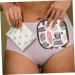 Lurrose 2-St Pad Storage Bag | Silent Pillow Holder & Tea Towels Pocket | Ideal for Period Travel | Women's Bandages | Laminated Cotton Organizer - Buy Online on GoSupps.com