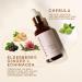 Vegnclever Chebula Active Serum for Face - Anti-Aging Antioxidant Serum with Hyaluronic Acid and Vitamin C - Hydrating, Firming, and Brightening Serum - 1.7 Fl Oz - Buy Online on GoSupps.com