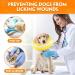 Suplutux Inflatable Hinge Dog & Cat Collar - Comfortable Recovery Collar for Dogs and Cats | Adjustable Leak Protection | Non-Blocking View - Size M Yellow - Buy Online on GoSupps.com