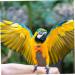 IPLUSMILE 3ST Flying Bird Diapers - Neoprene Pet Pants for Nymphensittich | Comfortable Cotton Bird Costumes | 12x6cm 3pcs - Buy Online on GoSupps.com