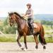 Free Gaiters & String Caps Set | Impact Protection Horse Boots | Neoprene Tendon Guards for Jumping Riding & Dressage - Buy Online on GoSupps.com