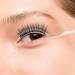 12 Pcs False Eyelashes Display Sticks - 3D Eyelash Extensions Applicator Tool for Easy Try-On & Grafting (Black & Transparent - Buy Online on GoSupps.com