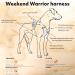 Hurtta Weekend Warrior Dog Harness for Medium Dogs - Peacock Turquoise (45-60 cm) | International Shipping Available - Buy Online on GoSupps.com
