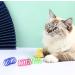 Diyxisk 40 Pieces Cat Toys - Interactive Spiral Toys in 4 Colors for Active Cats - Beating Biting & Hunting Fun - Buy Online on GoSupps.com