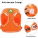 Zhenle Adjustable Reflective Cat Dishes Set with Leash - XS Orange Cat Collar & Bowl Bundle for International Shipping - Buy Online on GoSupps.com