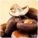 Shiitake Mushroom (10.58 Oz Bag) Shiitake Mushroom Crisp Snacks Crispy Mushrooms 300g - Buy Online on GoSupps.com
