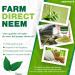 Neemveda Neem Leaf Powder 100g - Premium Quality Azadirachta Indica Powder for Natural Consumption - Buy Online on GoSupps.com