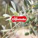 LA ESPA OLA - Extra Virgin Olive Oil Made from 100% Spanish Olives. 5 l Bottle - Buy Online on GoSupps.com