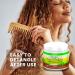 Roots Naturelle Virgin Hair Fertilizer - Strengthen Restore & Promote Rapid Hair Growth - 3 Jars 48oz Conditioning Treatment - Buy Online on GoSupps.com