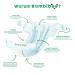 Bambibo Baby Diapers Size 4 Maxi (9-14 kg) - Organic Cotton & Vegetable Materials - 72 Piece Pack - Moisture Indicator - Eco-Friendly Baby Care - Buy Online on GoSupps.com