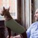 Hjumarayan Thin Dog Sweater for Medium Dogs - Washable Striped Fleece Shirt for Corgis & Dachshunds - Elastic Military Green Design - Buy Online on GoSupps.com