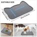 IYYI Cat Food Mat - Silicone Dog Bowl Mat for Food and Water - Waterproof Non Slip Pet Feeding Mat - Raised Edge Dog Food Tray - Gray+M - Buy Online on GoSupps.com