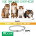 Qlige Tick Flea Band for Cats - 4PCs Waterproof Adjustable Flea Collar | Effective Protection Against Skin Allergies - Buy Online on GoSupps.com