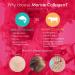 Bioglan Collagen Tablets 2500mg - Marine Collagen with Hyaluronic Acid, Resveratrol, Biotin, Selenium, Vitamin C - 90 Tablets - Buy Online on GoSupps.com