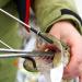 MJW Hemostat for Fishing - 15.2 cm Stainless Steel Tool for Dogs Cats & Pets - Straight/Curved Tips Ideal for Ears & Hair - Buy Online on GoSupps.com