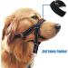 Dog Head Collar with Reflective Strap to Stop Pulling for Small Medium and Large Dogs Adjustable (L Black) L (Pack of 1) Black - Buy Online on GoSupps.com