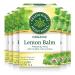 Traditional Medicinals - Organic Lemon Balm Herbal Tea (Pack of 6) - Soothing & Uplifting Daily Tea - 96 Tea Bags Total