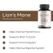 Joselisretail Lion's Mane Mushroom Complex Capsules for Immune Support Memory & Focus -120 Capsules - Lion's Mane Organic Mushroom Supplement Made with Blend Super Mushroom - 500mg Brain Supplement - Buy Online on GoSupps.com