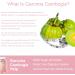 Garcinia Cambogia Gummies 800mg - 95% HCA Organic Extract Vegan Supplement for Women - Metabolism & Energy Support - 120 Cts (Pack of 2) - Buy Online on GoSupps.com