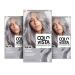 L'Or al Paris 3 Pack Permanent Hair Color Gel Intense Shine Coloration and Colovista Permanent Gel Silver Grey Treatment Mask
