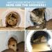 Interior Cat Door with Removable Cleaning Brush | Large Pet Pass for Adult Cats | Easy Install for Indoor Cats up to 35 lbs | Includes Instructions & Screws - Buy Online on GoSupps.com