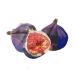 Toxin Free Handmade Solid Perfume Travel Set 5 Different Scents Free Embroidered Cotton Bag (Gourmand Collection) - Buy Online on GoSupps.com