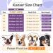 Kuoser Dog Recovery Suit - E-Collar Alternative for Male & Female Dogs Post-Surgery Comfort & Healing Anti-Lick Bodysuit Purple - Buy Online on GoSupps.com