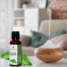 Buy 100% Pure Catnip Oil 15 ML | Natural & Undiluted Nepeta Cataria Essential Oil for Cats - Buy Online on GoSupps.com