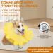 Ieuumler Inflatable Dog Breaker Collar - Adjustable Leak Protection for Dogs & Cats - EU004 Sunflower M - Buy Online on GoSupps.com
