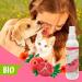 Beaphar 17750 Organic Dry Shampoo for Dogs & Cats - Waterless Gentle Coat Care - 200ml - Buy Online on GoSupps.com