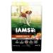 IAMS ADVANCED HEALTH Dog Food Dry IMMUNE HEALTH Adult Chicken & Superfoods Recipe 12.2kg Bag 12.25 kg (Pack of 1)