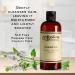 C.O. Bigelow Lavender Peppermint Shampoo - 10.4 Fl Oz - Cleansing & Soothing Luxury Hair Care - Buy Online on GoSupps.com