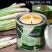 4 Pack 7oz Citronella Candles - Long-Lasting Clean Burning Soy Wax - Outdoor Patio, Porch, Garden, Party & Camping - Buy Online on GoSupps.com