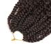 MeliSay 5 Packs Box Braids Crochet Hair Extensions - 35.6 cm Synthetic Afro Kinky Braiding Hair for Black Women | Curly Passion Twist & Goddess Faux Locs - T30 - Buy Online on GoSupps.com