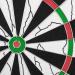 CyeeLife 18 Dartboard Set with 6 Darts, Flights, Sharpener & Protectors - Buy Online on GoSupps.com
