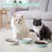 ComSaf Ceramic Cat Feeding Bowl Wide Shallow Cat Food Water Dish Whisker Friendly Design Whisker Fatigue Free shallow cat bowl Non Spill Pet Bowl 300ML Pack of 2 Green Green*2 - Buy Online on GoSupps.com