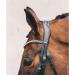 Schockem hle Sports Double Bridle - EQUITUS Gamma WB Black for Enhanced Performance | International Shipping Available - Buy Online on GoSupps.com