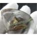 Natural Red Ghost Garden Quartz Crystal Chorite-Crystals Rutilated Stone Raw Stones and Minerals - Buy Online on GoSupps.com
